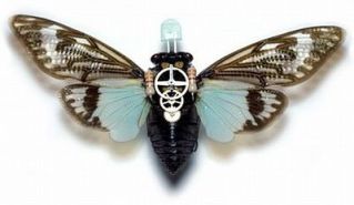 cyborg-moth